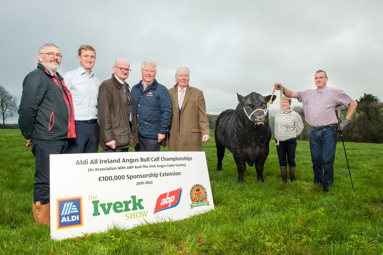 €27,000 prize fund at the 2019 Angus Bull Calf Championship