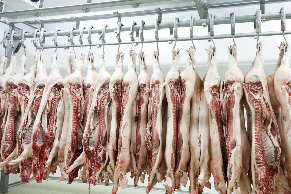 Meat industry targets €200m export growth for pigmeat sector