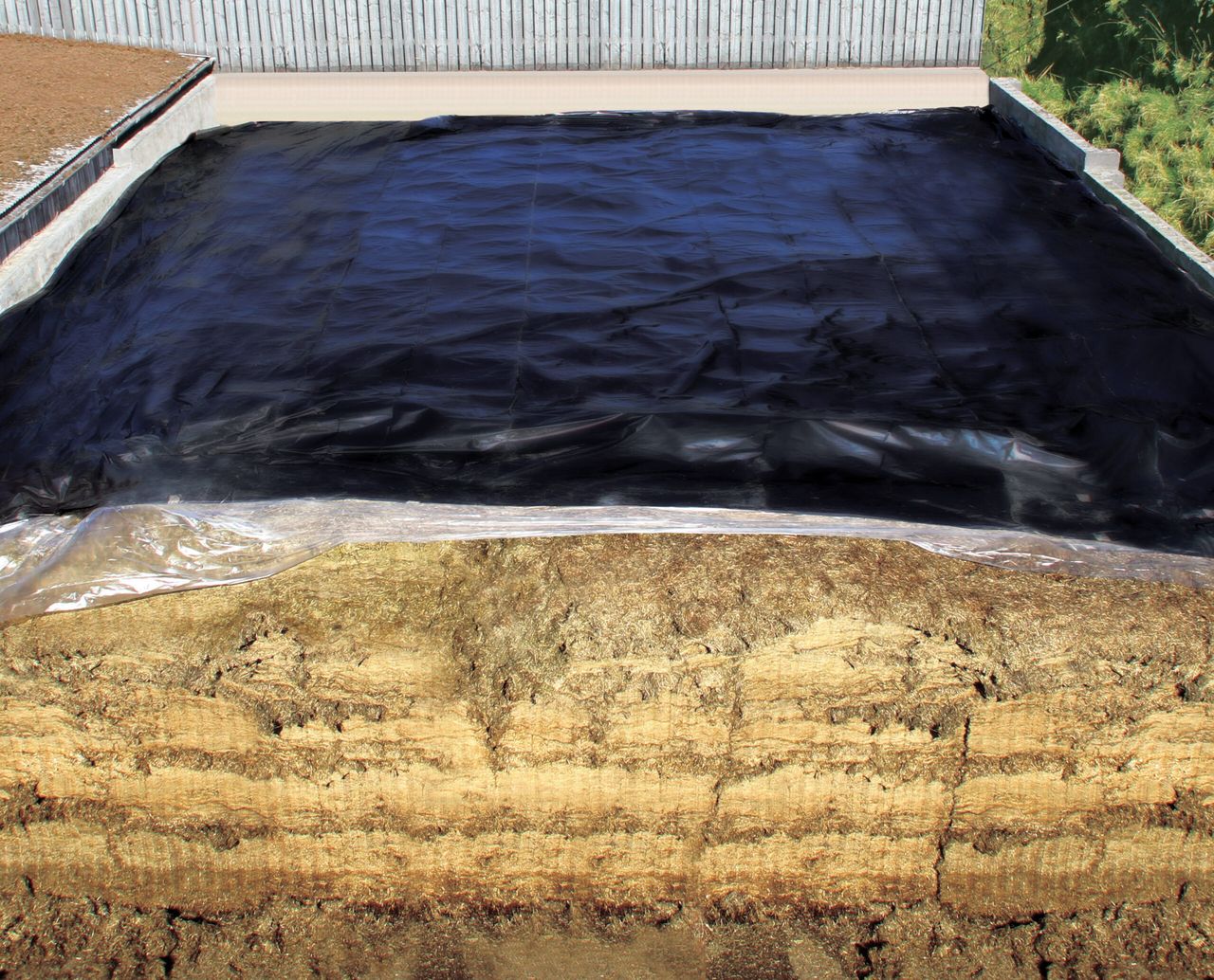 Seven-layer silage sheets: Just how far must you go for your silage?
