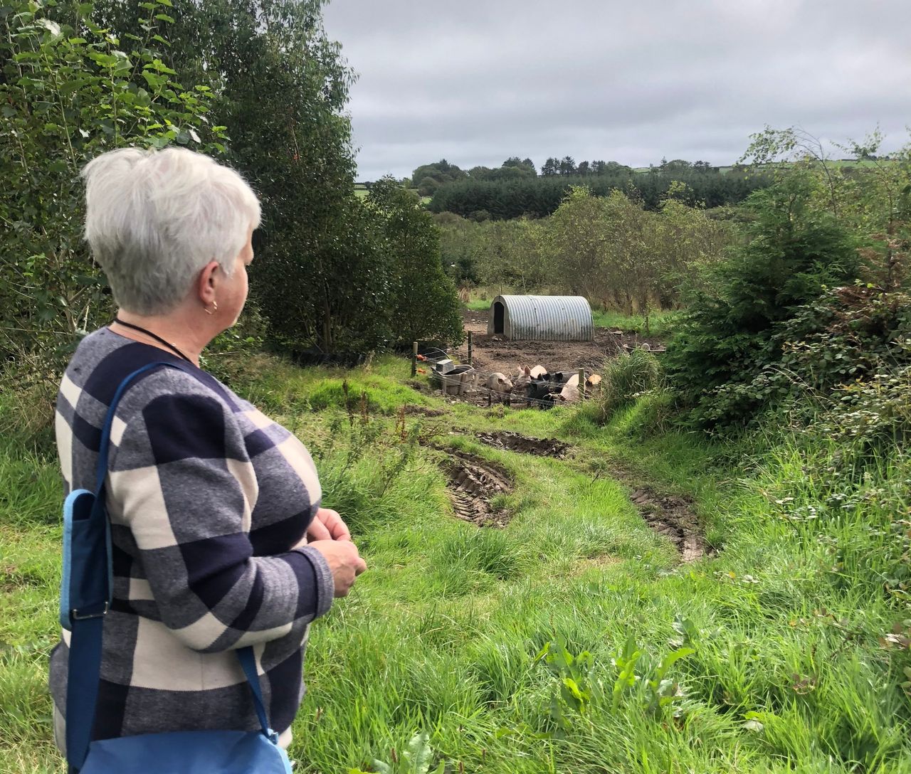 Forest bathing: Seeing the wood for the trees on diversification