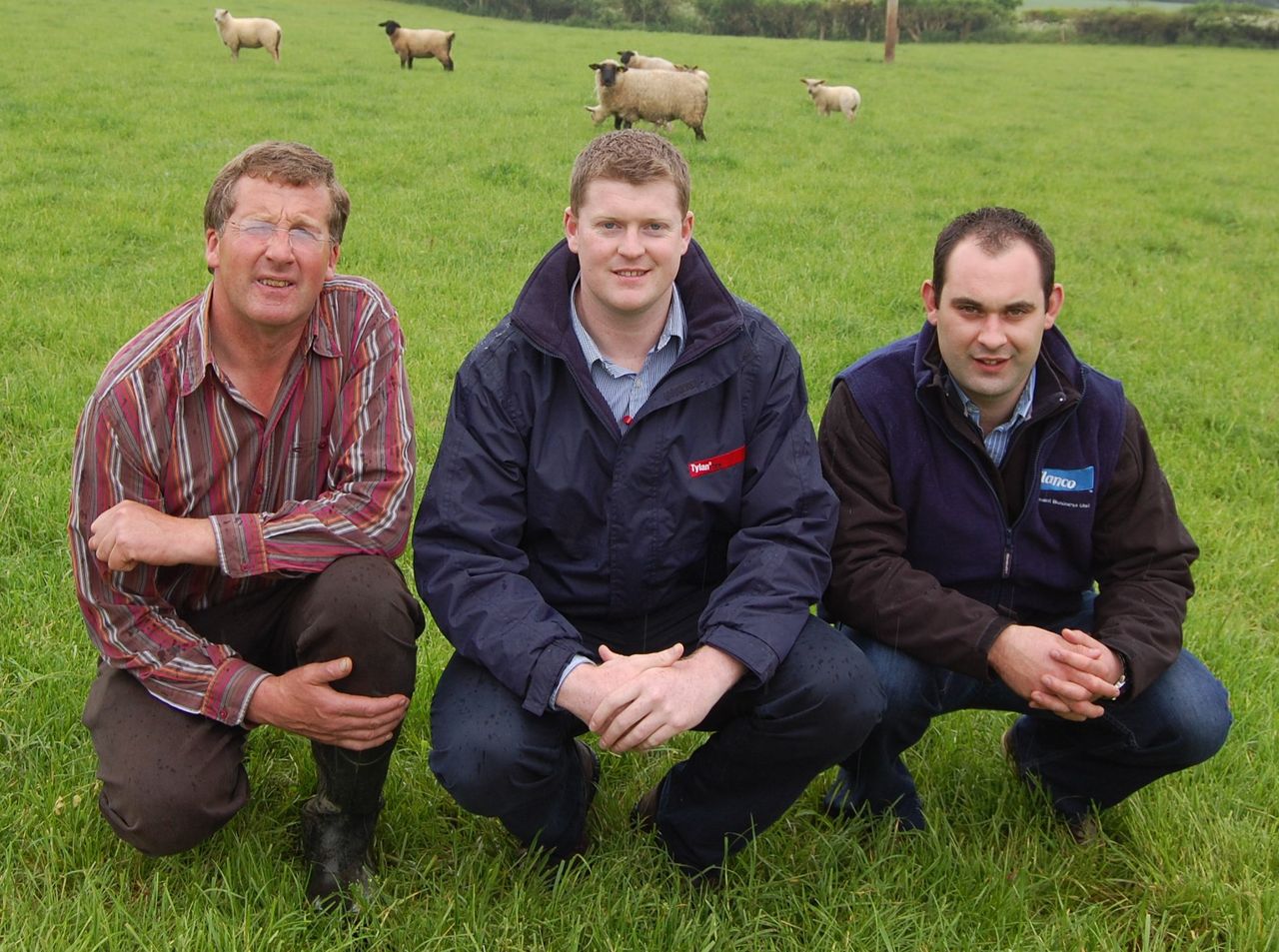 Forward thinking pays off for Co Kilkenny sheep farmer