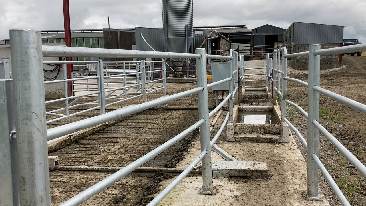 Potential foot and mouth case in UK a 'concern' for Irish farmers