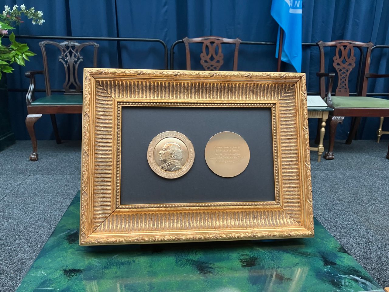 President Higgins awarded FAO Agricola medal