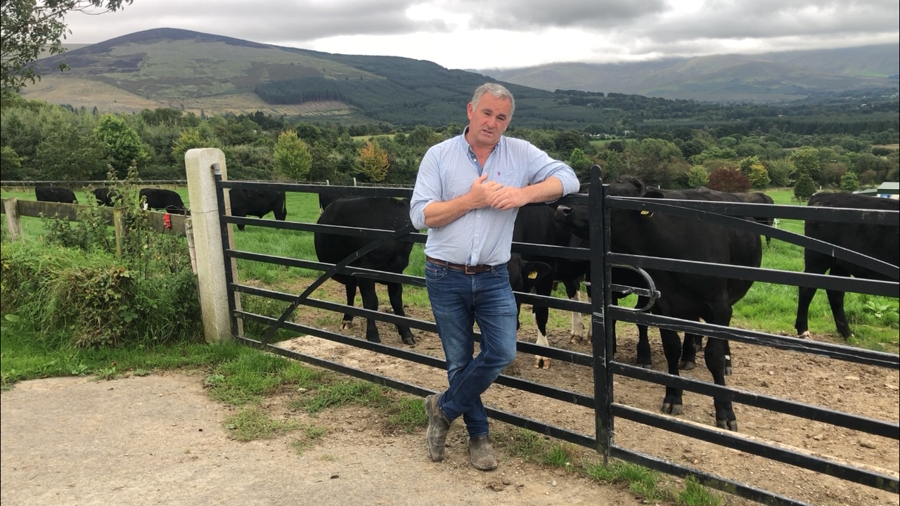 Beef Focus: Producing Wagyu beef from dairy and suckler dams