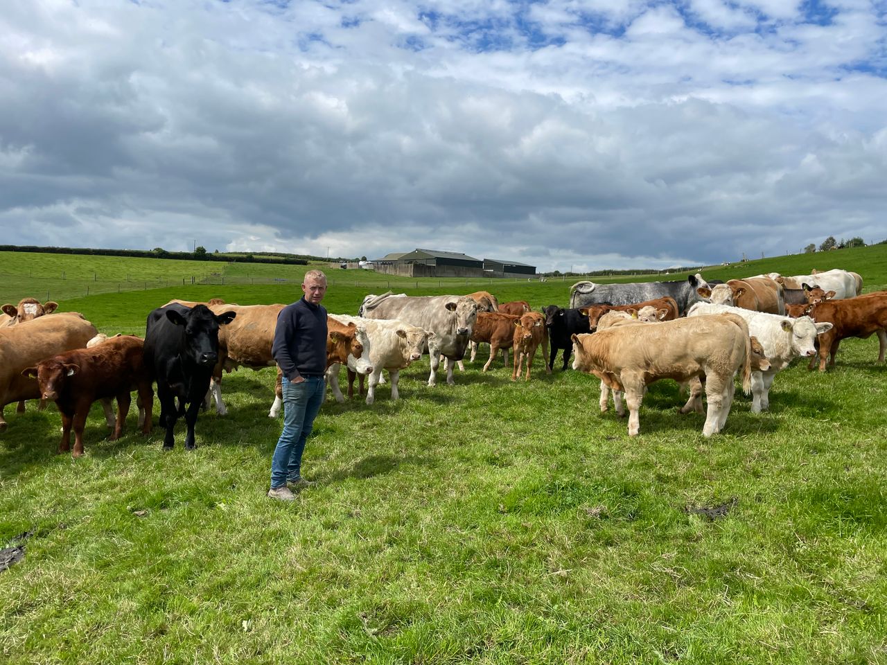 Suckler, dairy-beef and tillage farming in the hills of Carnew