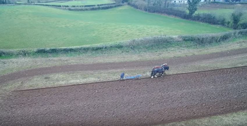 Video: Farmer ditches modern machinery in favour of horses