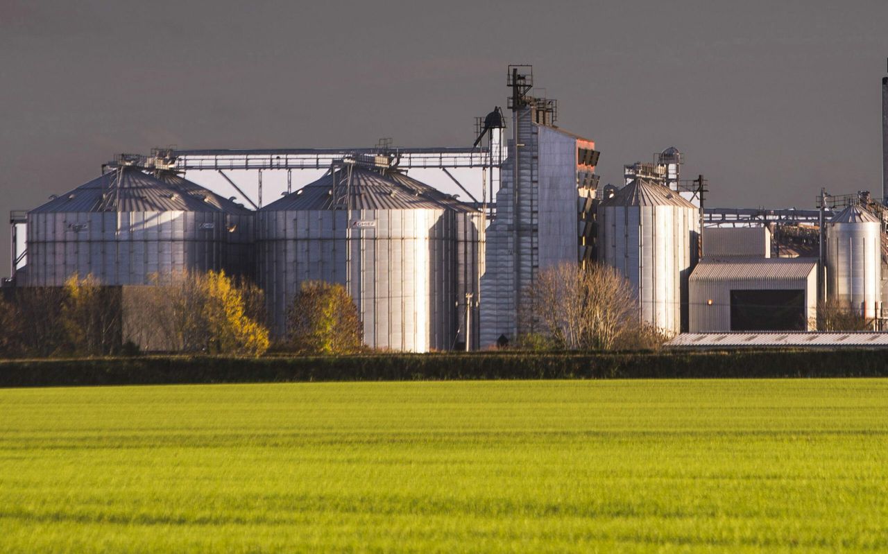 Boortmalt looking for malting barley growers in Co. Donegal