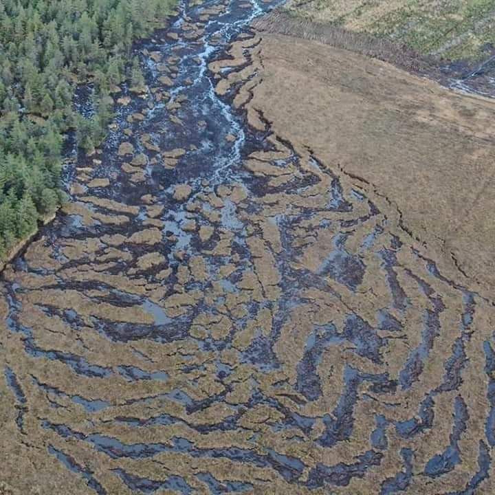 Meenbog peat slippage will have 'significant impact on Source to Tap project'