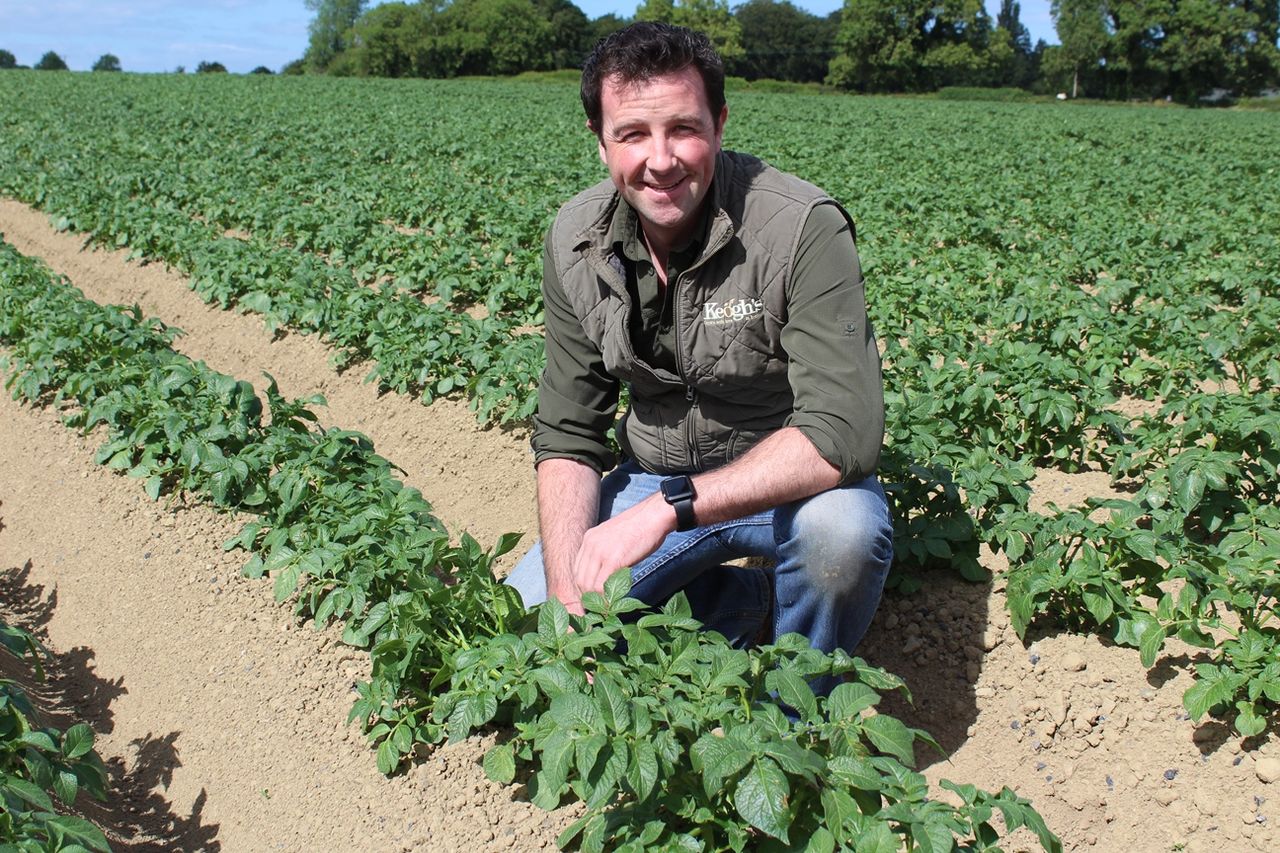 How did the potato industry get it so wrong?