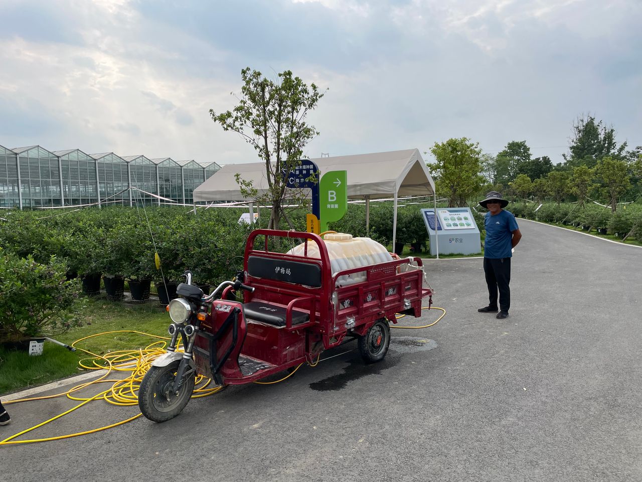 5,000ac blueberry farm in China yielding from 2-3t/ac