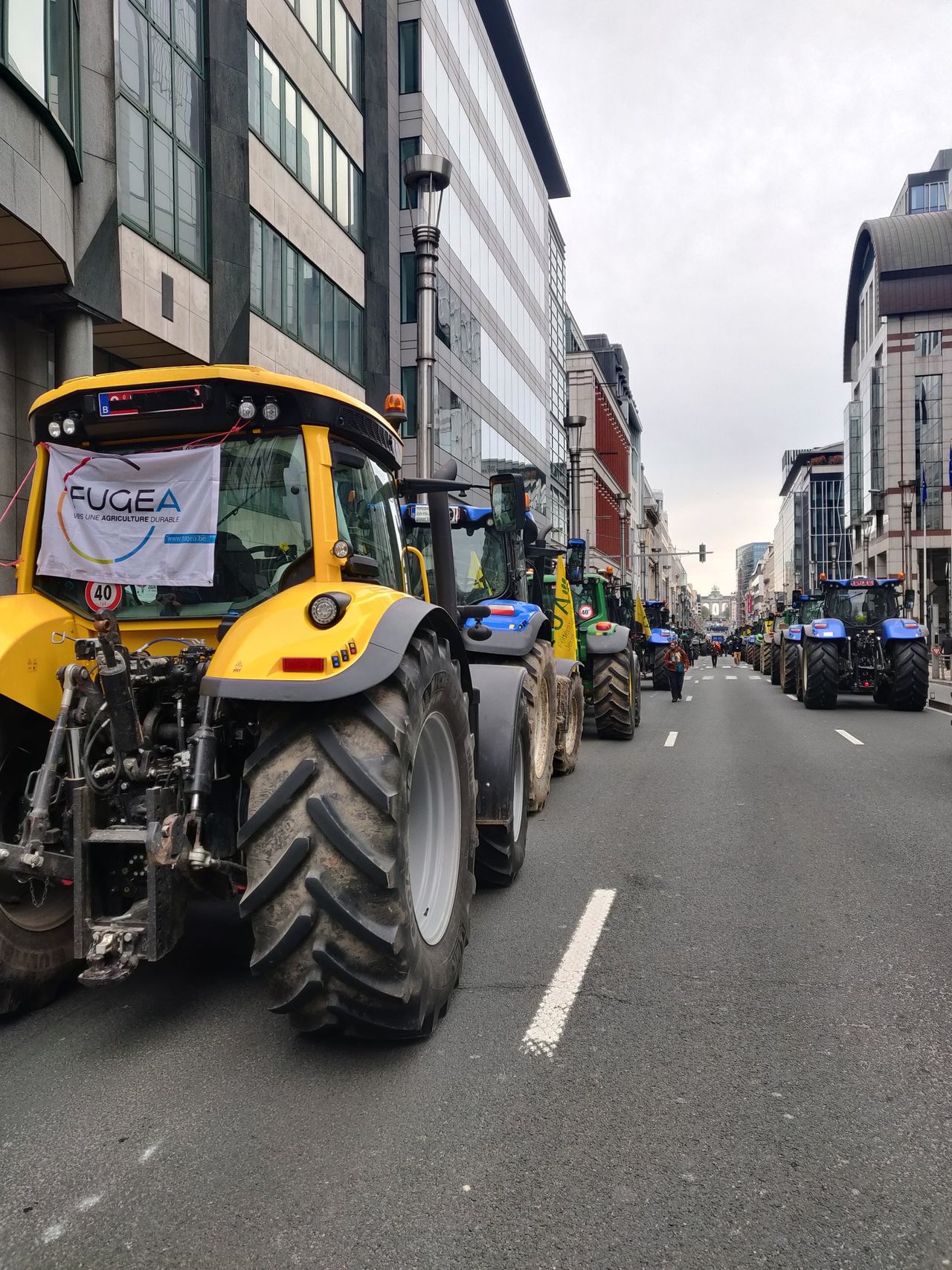 Farmers return to Brussels as EU committee endorses CAP review