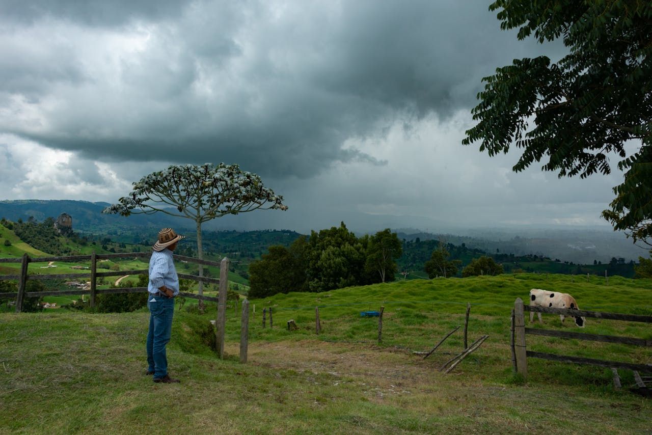 Commission: €99m allocated to farmers impacted by 'climatic events'