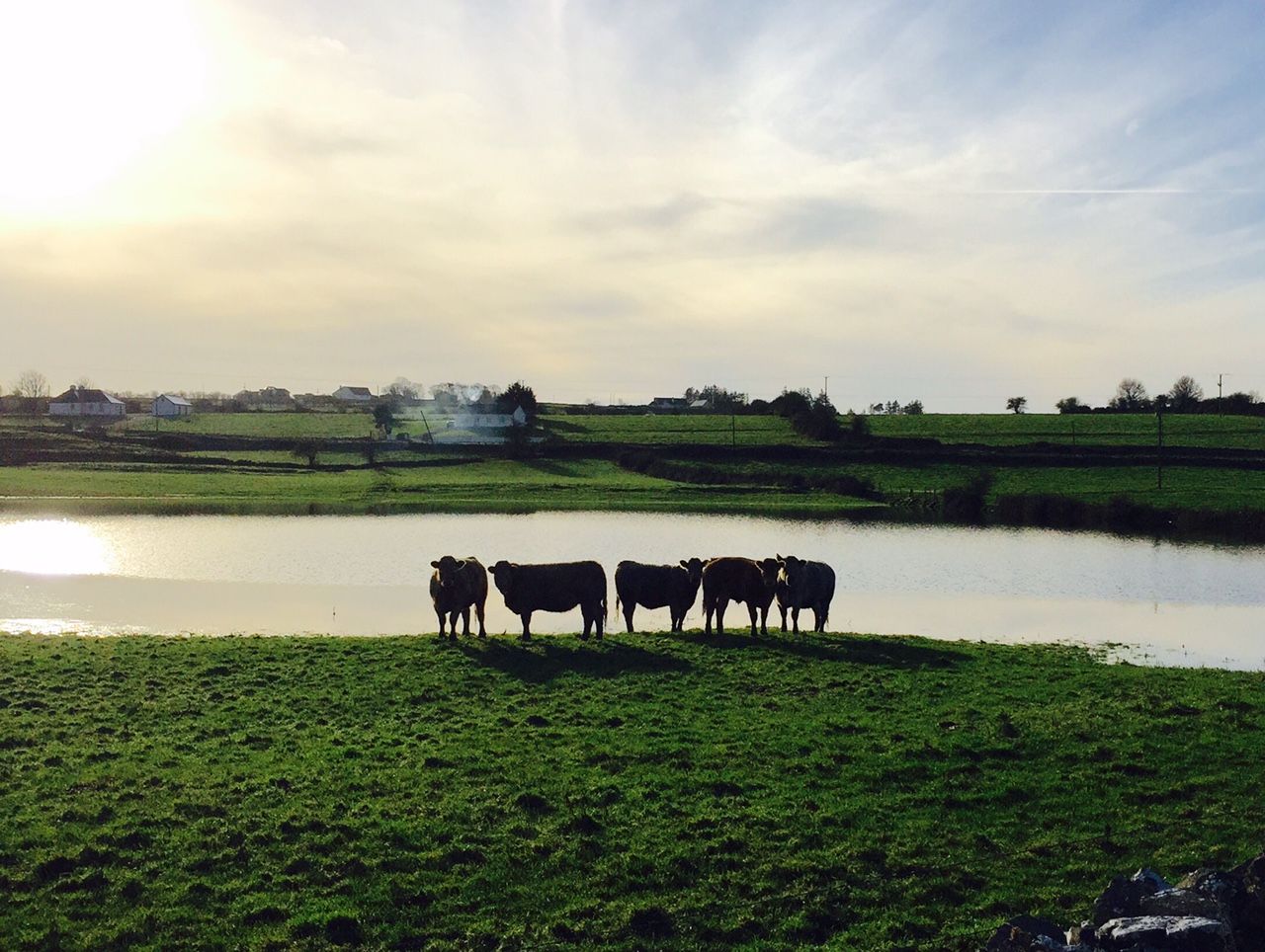 Storm Desmond: Thousands of acres of farmland under water