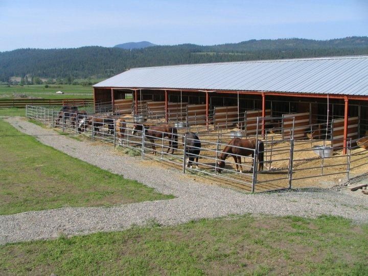 Horse rescue appeals to farmers for hay barns