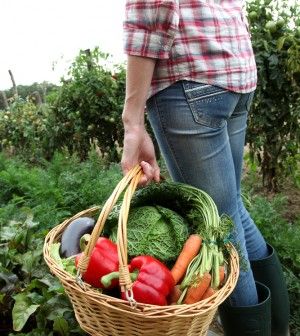 ‘I don’t want to see food being sold for half nothing’ – Coveney