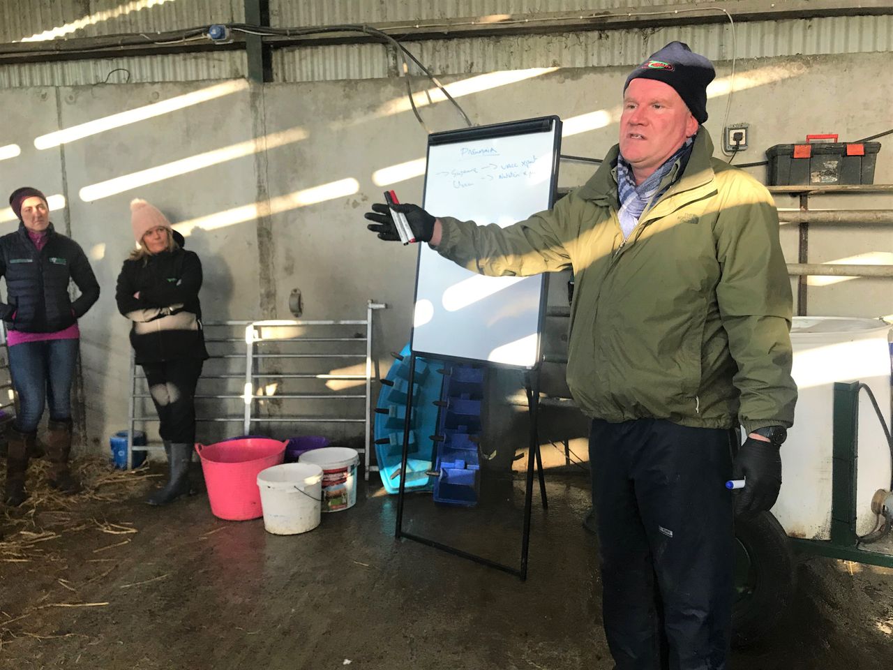 Technical Day: All aspects of calf health up for discussion in Co. Kildare