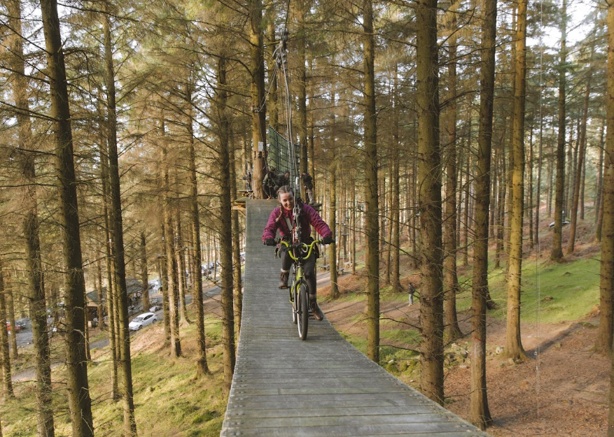 €4m boost for Coillte to develop new 'infrastructure projects'