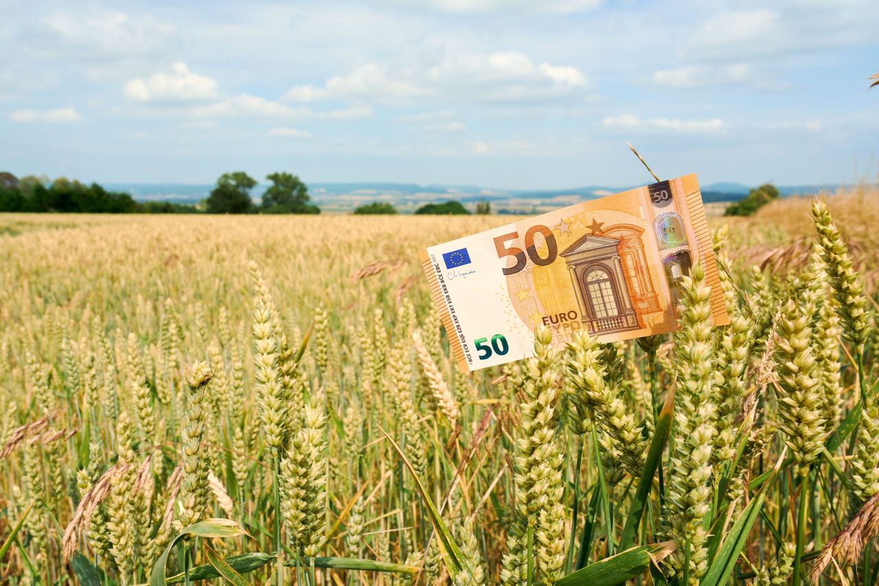 Minister pledges ‘more targeted’ tillage payments under Budget 2026