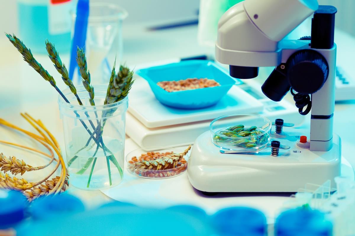 A 'milestone' for Monsanto as Commission approves 3 soybean GMOs