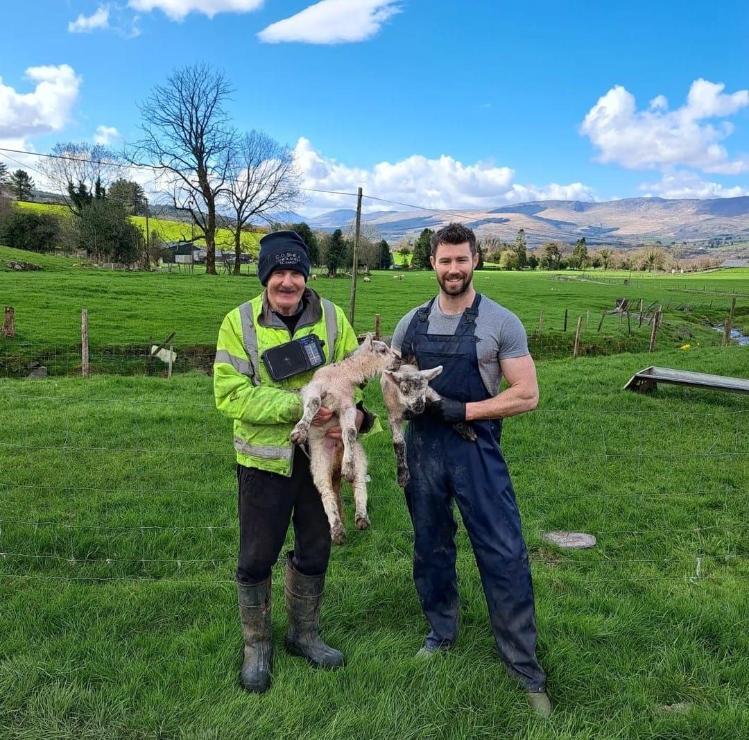 Counting the cost of storms and foxes on a Kerry hill sheep flock