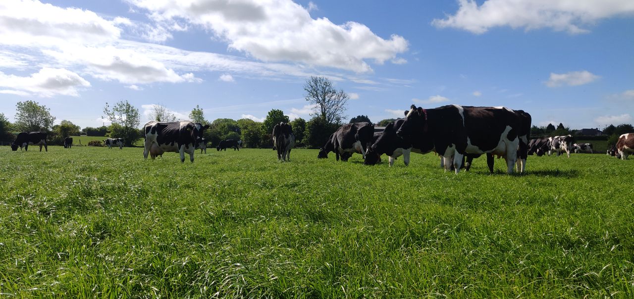 Lely to offer more support to farmers in Cork and south east