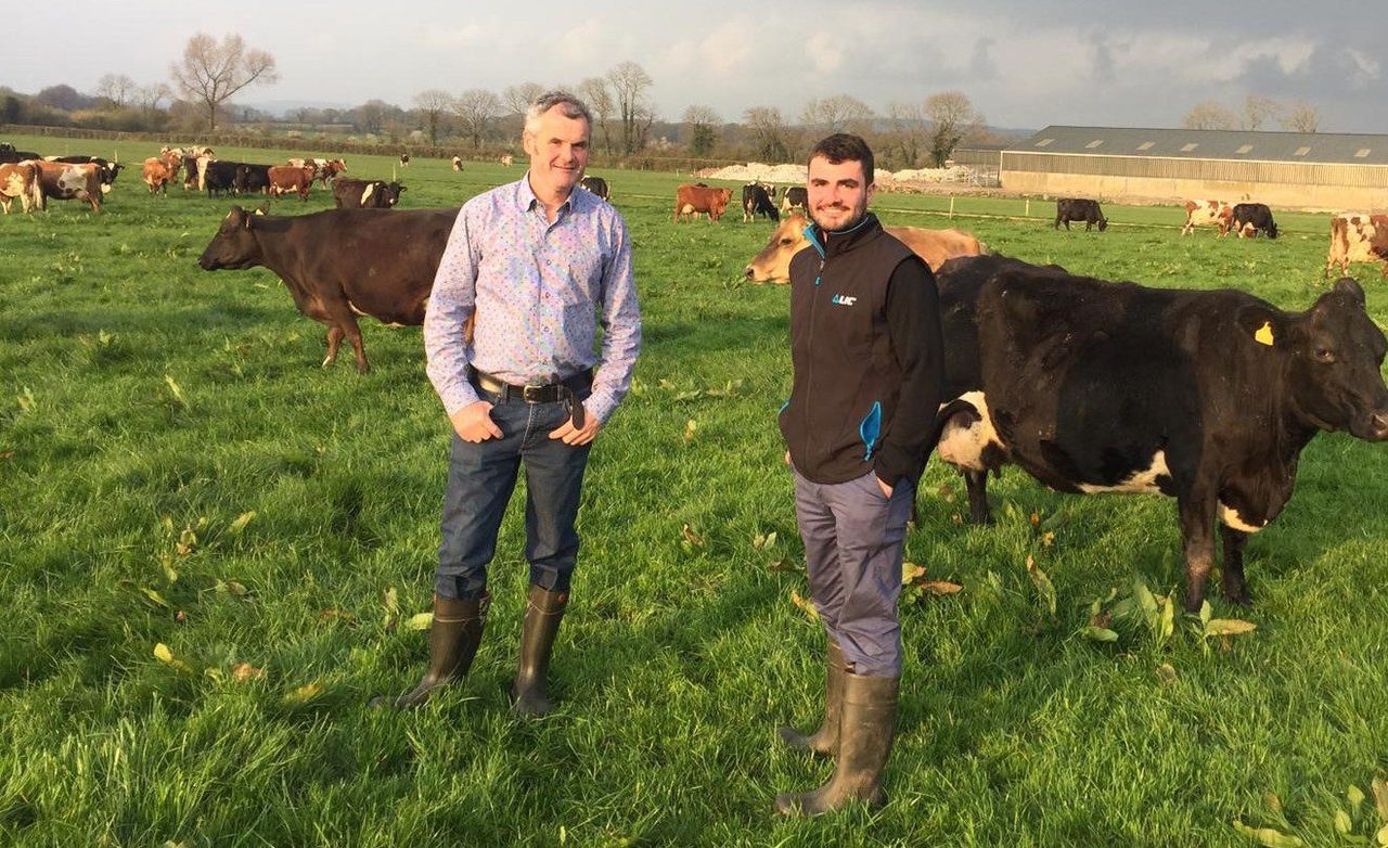 Tips: What are your breeding goals for the next 12 months?