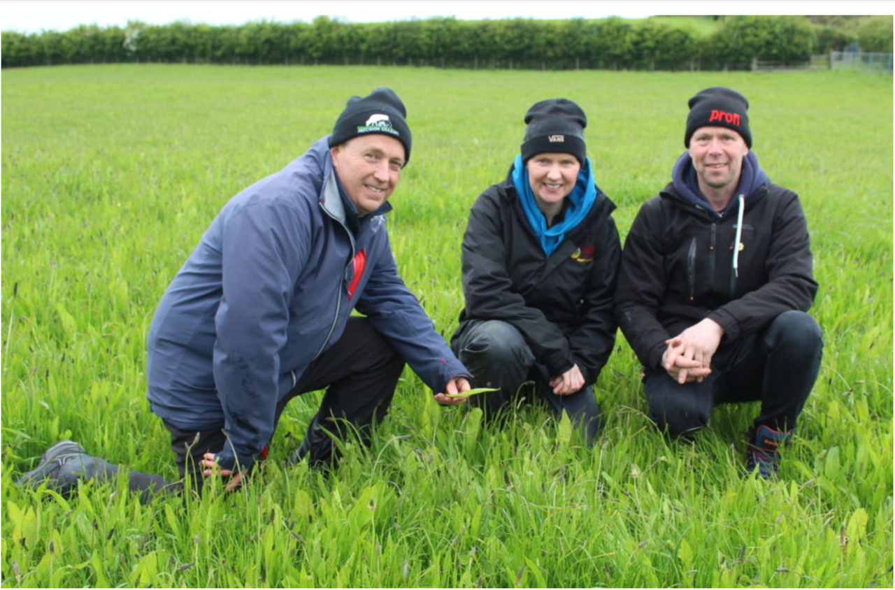 ARCZero: Antrim sheep farm shows benefits of carbon farming