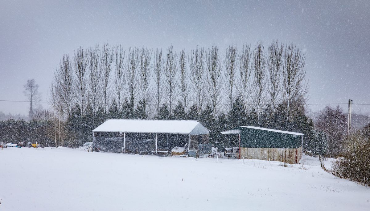 Weather warnings extended until tomorrow morning