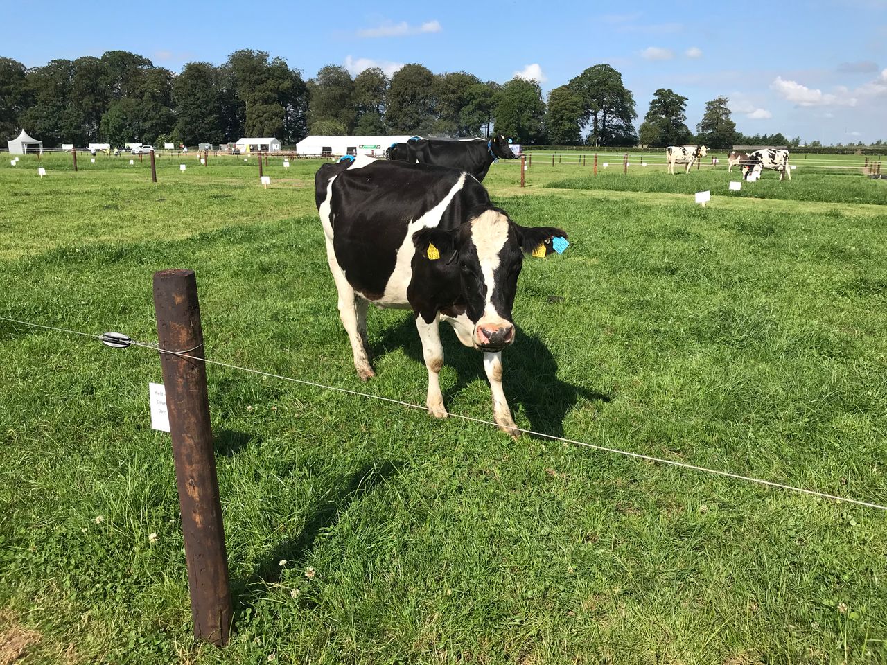 Moorepark '19: 'We need to avoid a high-input system drift'