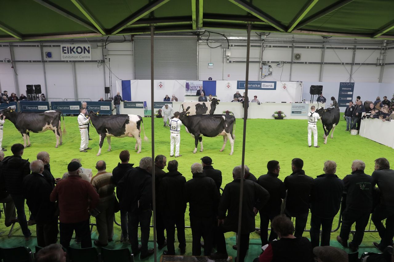 RUAS: 'No cattle classes' at the 2025 Royal Ulster Winter Fair