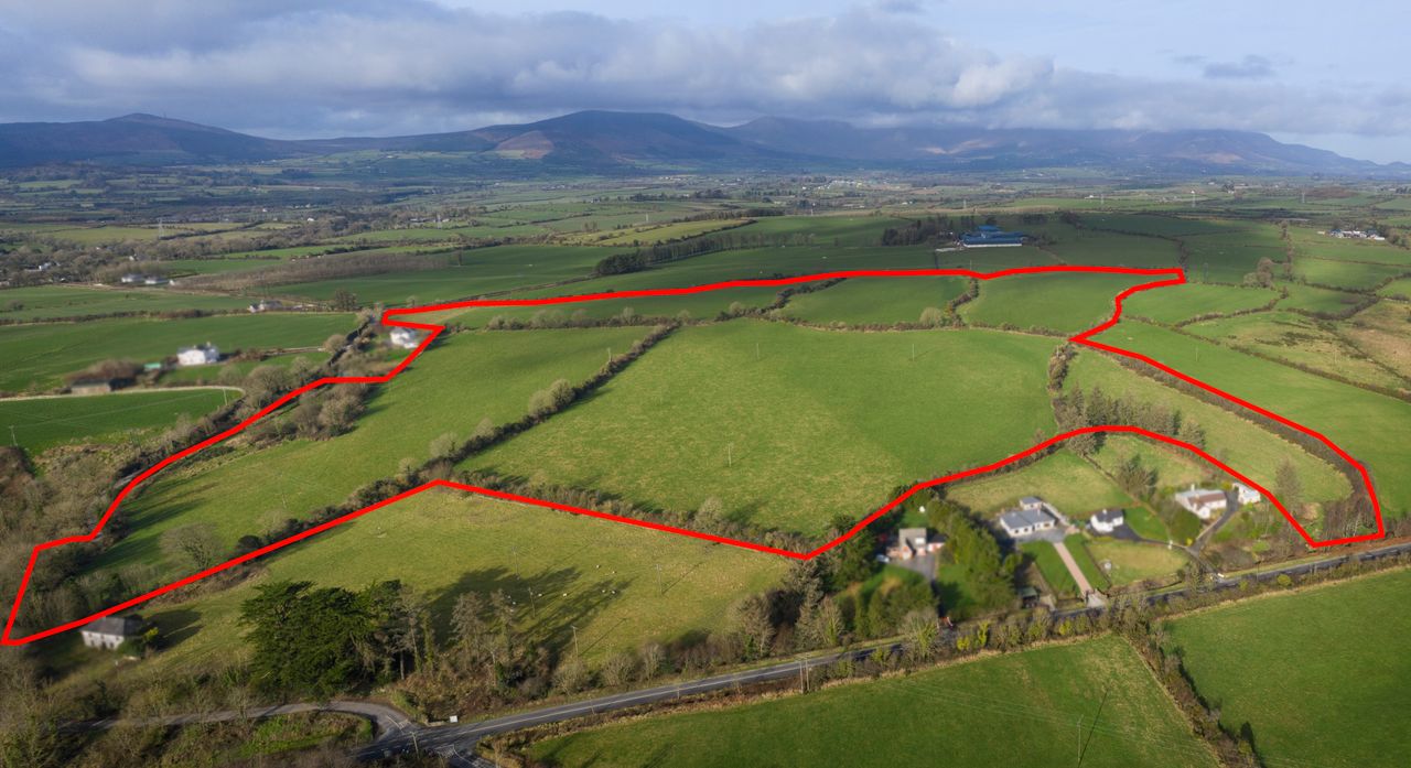 Roadside lots offer development potential and more - to go for public auction