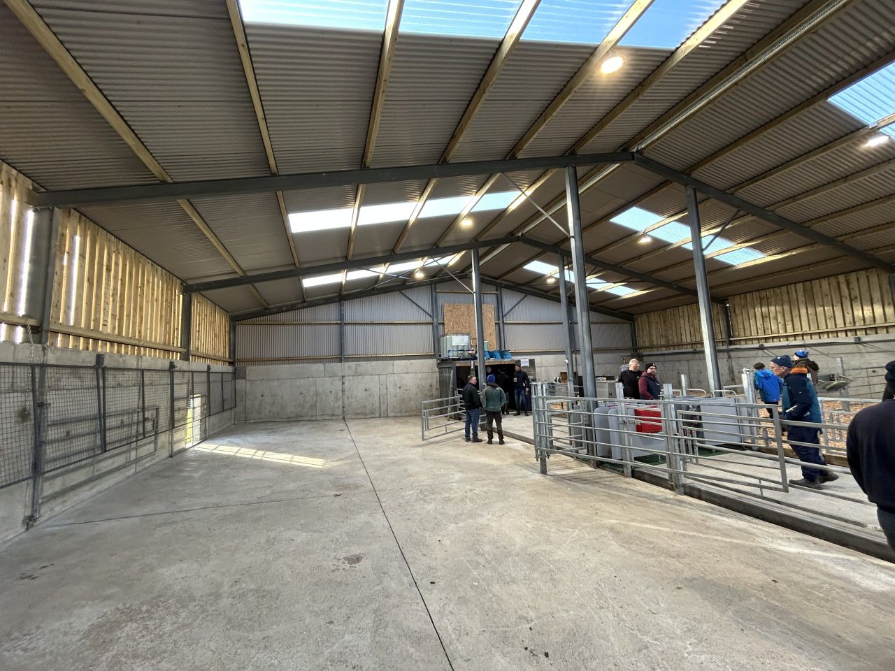 Are your calf facilities optimal for space, health and hygiene?