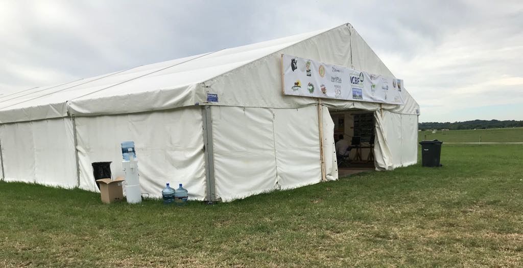 Majority of breed societies 'a no-show' at BEEF 2018