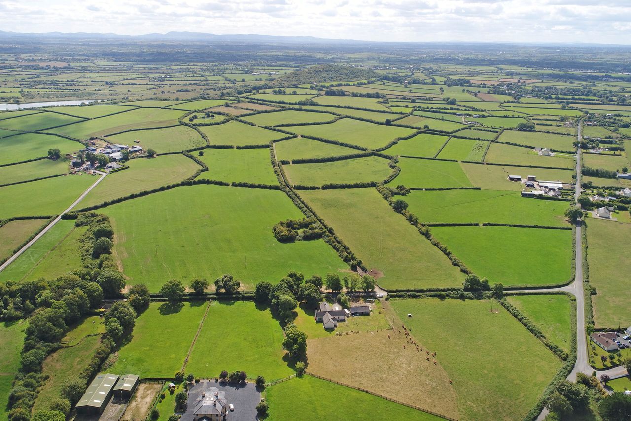 67ac 'high-quality agricultural land' for sale at Croom