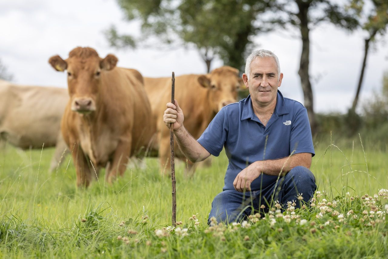 Vaccination takes the stress out of weaning for Longford farmer