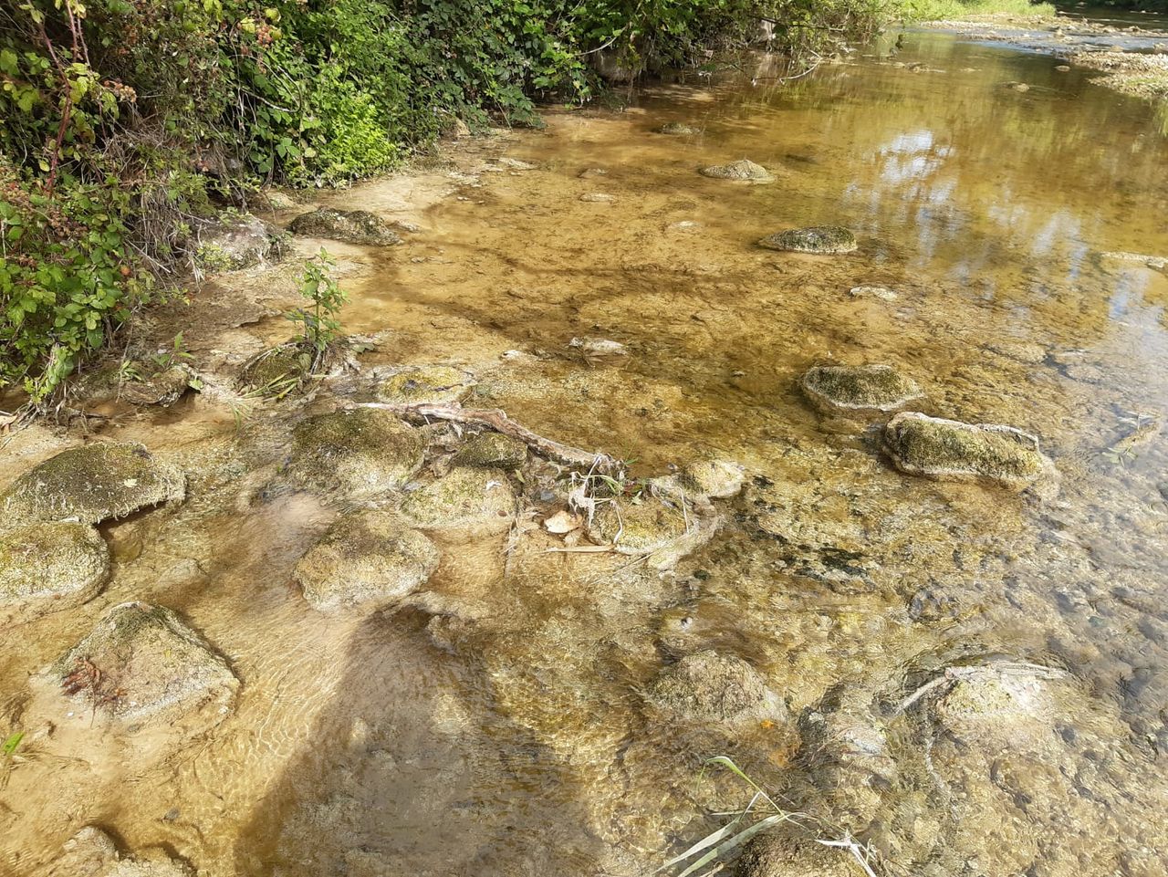 Glanua Group to pay over €5k for damage to River Suir