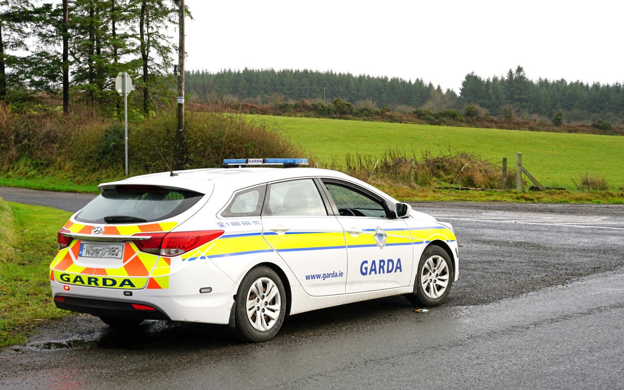 Gardaí investigating theft of sheep in Co. Donegal