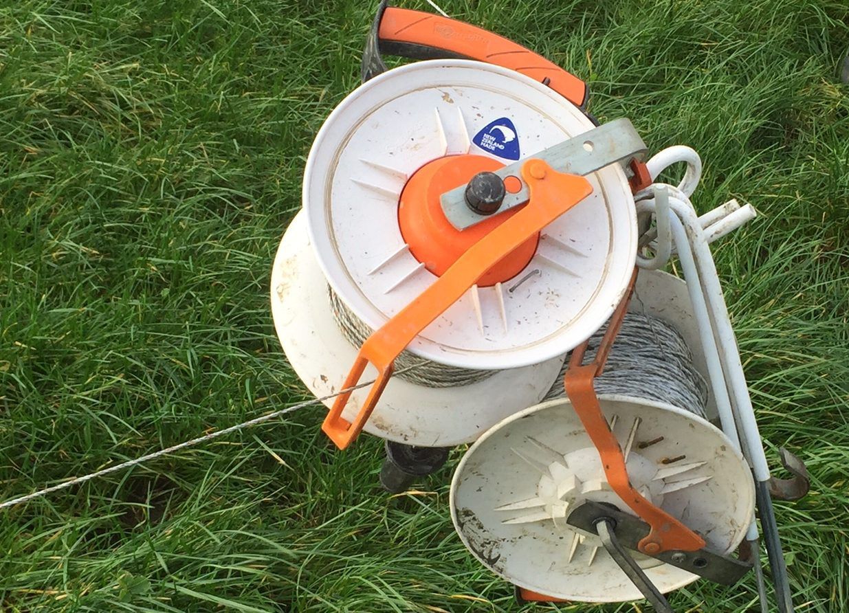 Spring grazing: Opportunity to get cows to grass this week