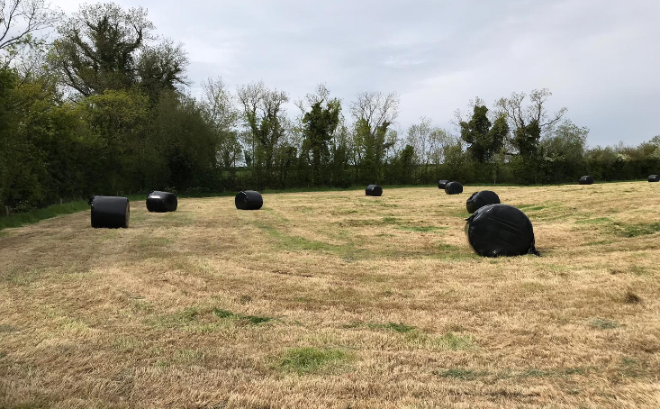 Green Acres: Harvesting first-cut silage and taking out surplus paddocks