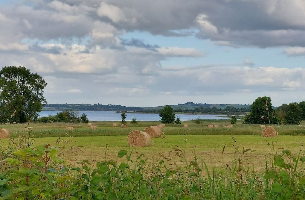Round bales in Rahara, with Lough Funshinagh in the background