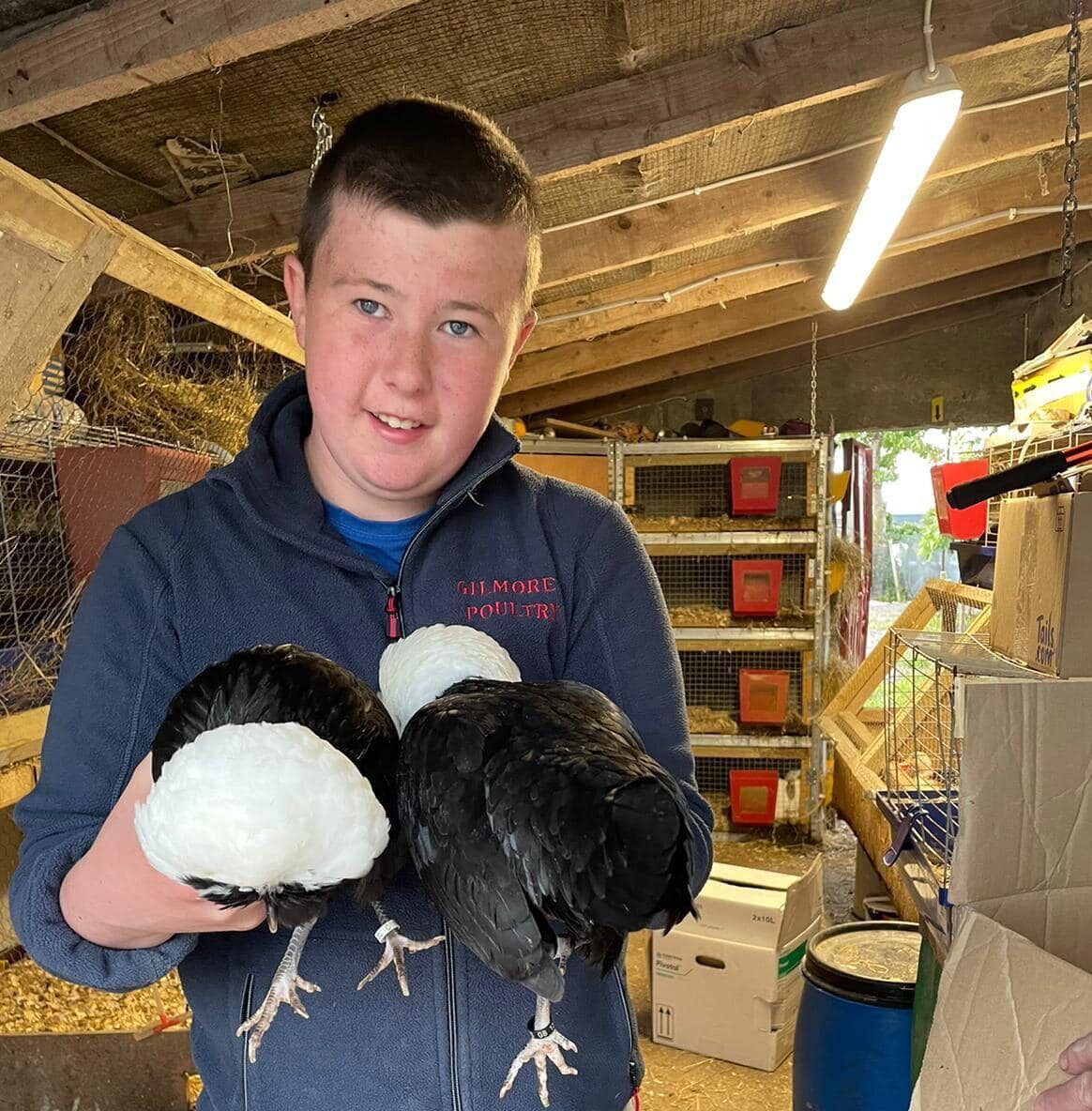 Over 30 birds stolen from young Galway poultry breeder