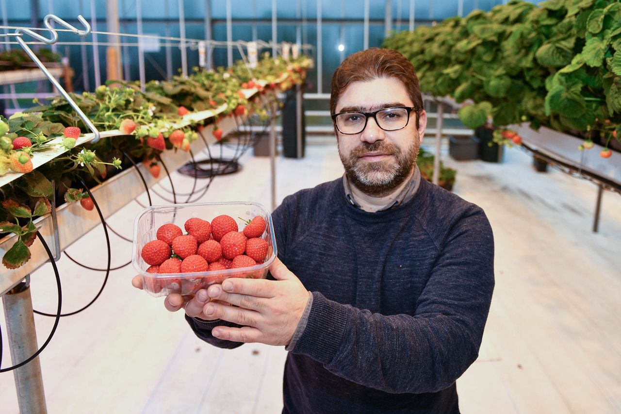 CAFRE to launch NI's first horticulture honours degree course