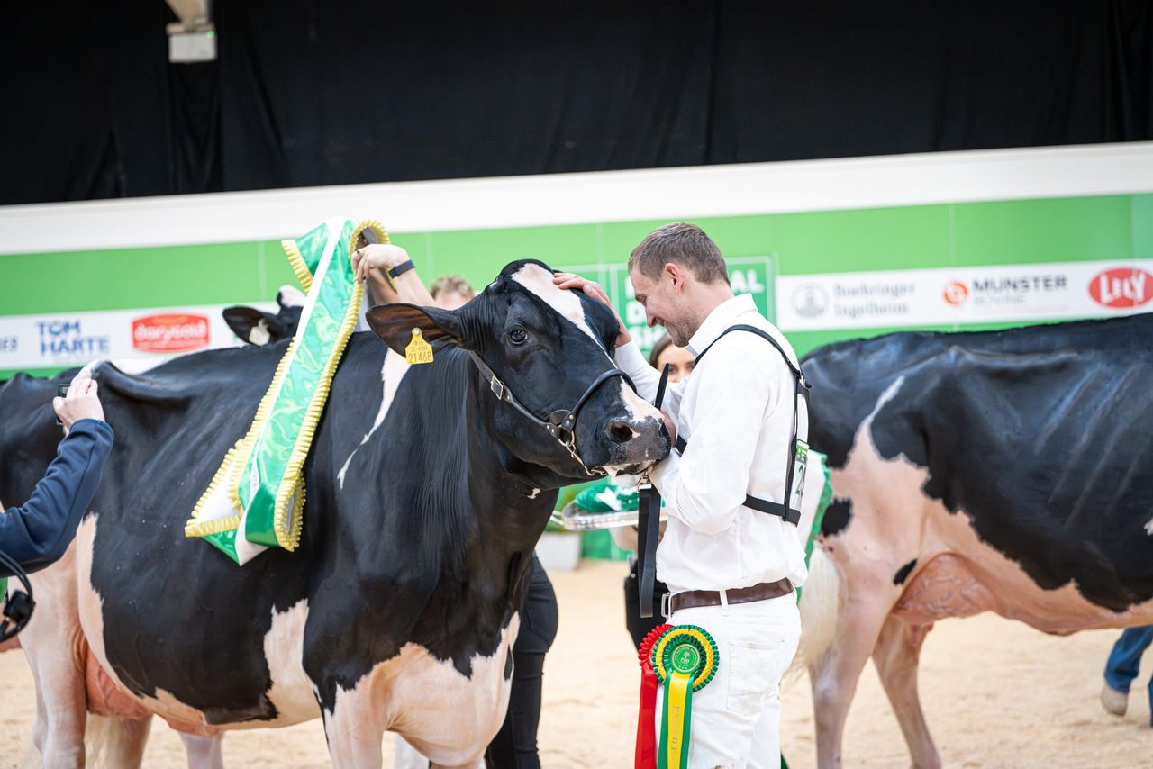 From halter to headlines: The best of the FBD National Dairy Show