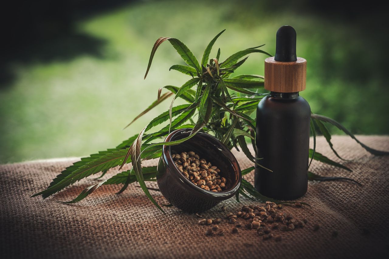 EU court ruling on CBD a 'lifeline' for Ireland's hemp industry