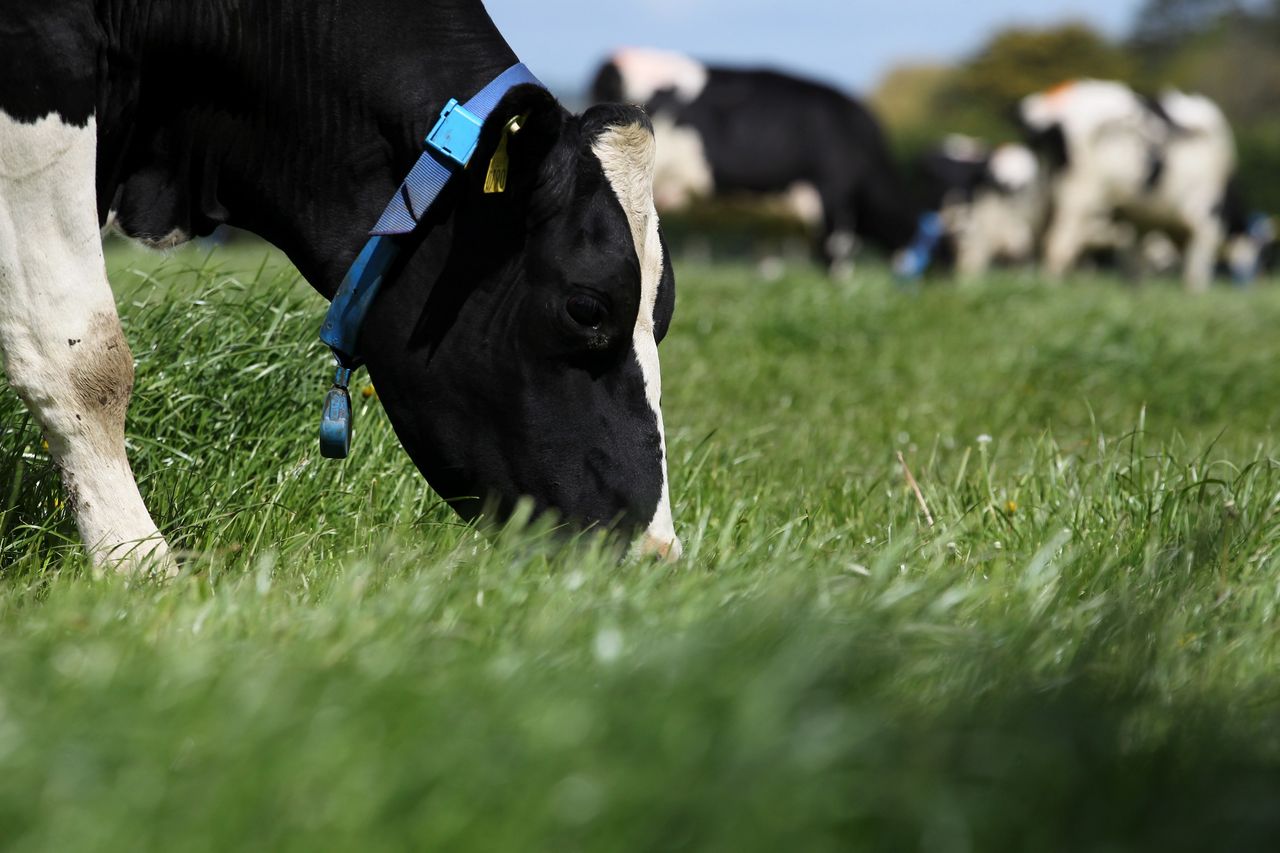 €3 million for collaborative developments at UCD Lyons Farm