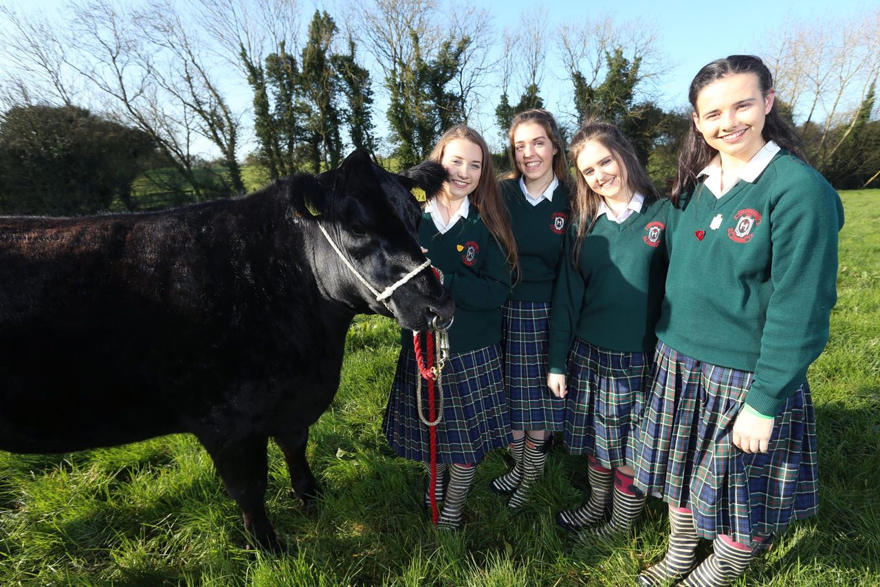 Dublin girls take home first prize in Irish Angus schools competion