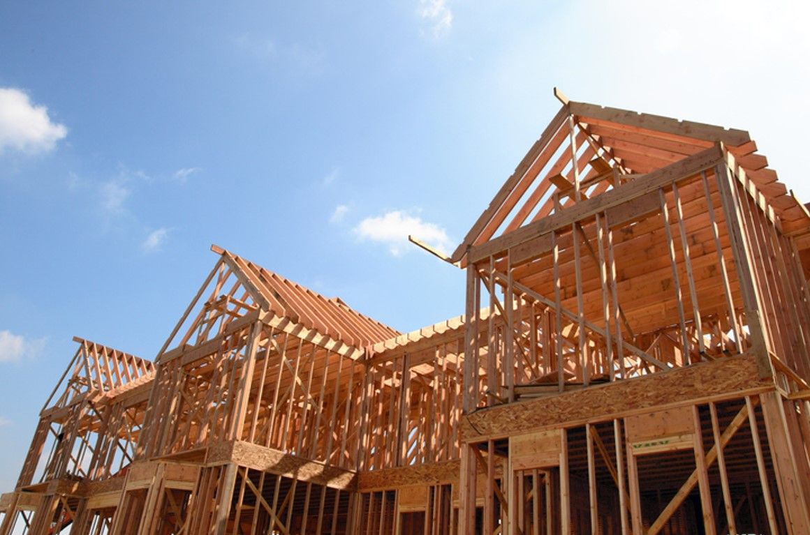 Healy-Rae: Opportunity to expand use of timber in construction