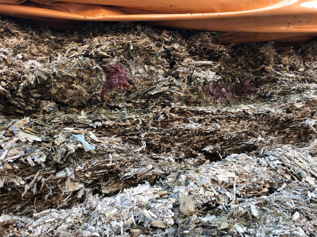 Identifying and mitigating mycotoxin risk in winter feeds