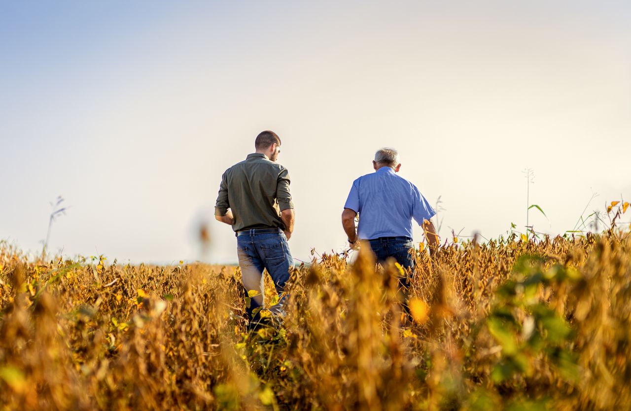Half of NI farms impacted by inheritance tax changes - DAERA