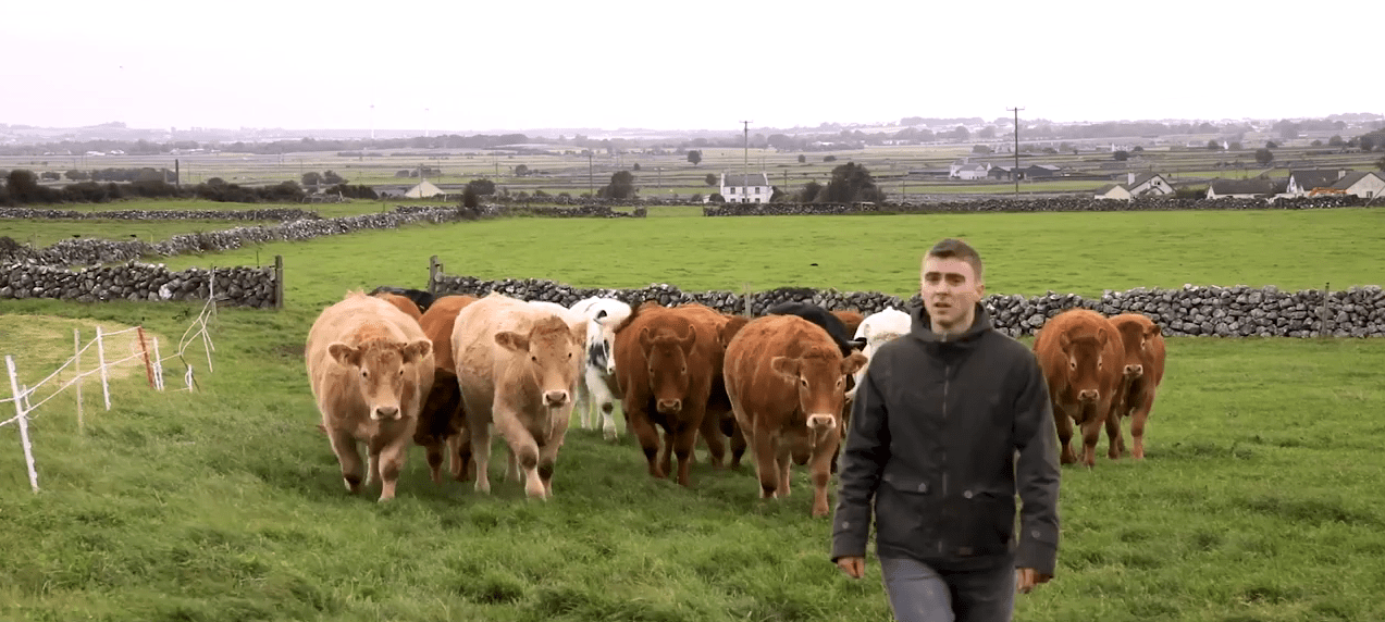 FARM SMART: Why this beef farmer invested in new winter housing and technology